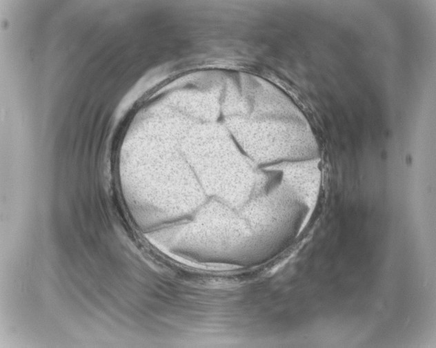 X0000085210198200704091915