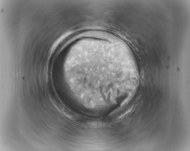 X0000085210200200704091915