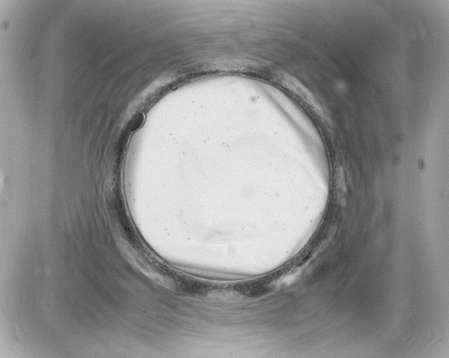 X0000085210203200704091915