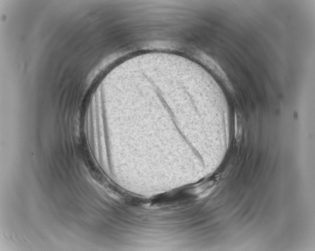 X0000085210204200704091915