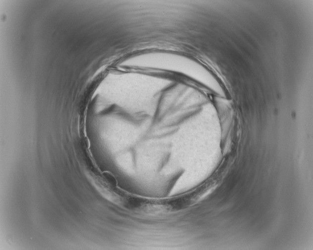 X0000085210205200704091915