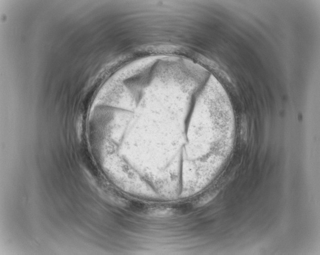 X0000085210206200704091915