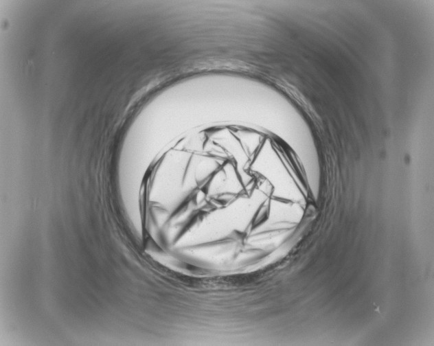 X0000085210207200704091915