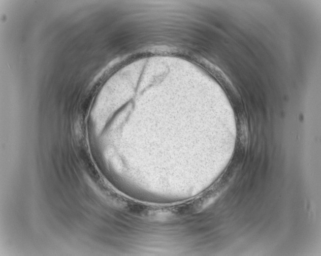 X0000085210208200704091915