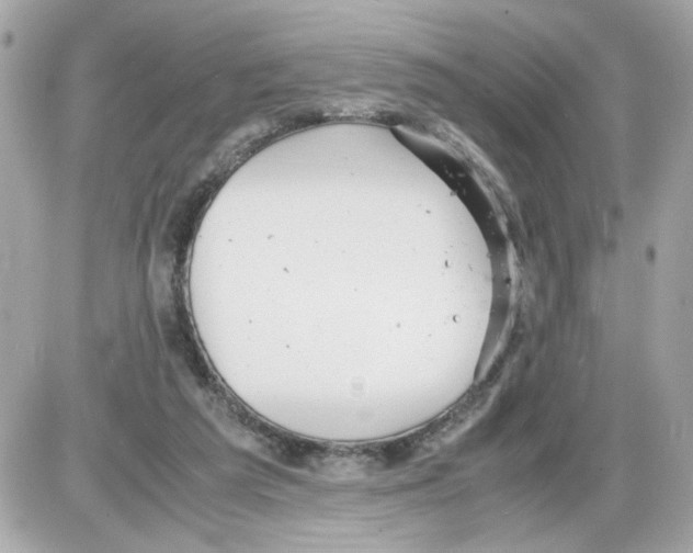 X0000085210209200704091915