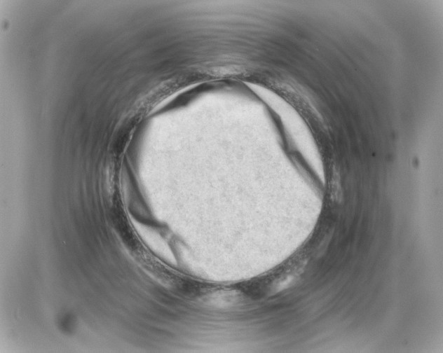 X0000085210210200704091915