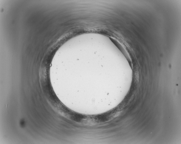 X0000085210211200704091915