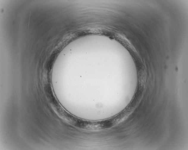 X0000085210213200704091915