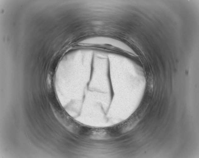 X0000085210214200704091915