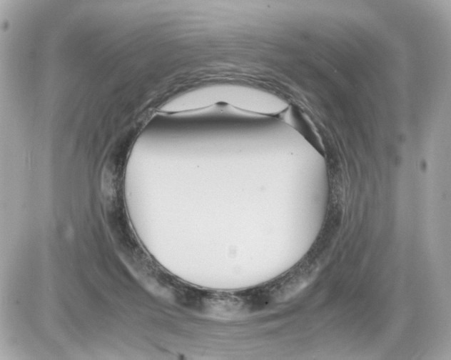 X0000085210215200704091914