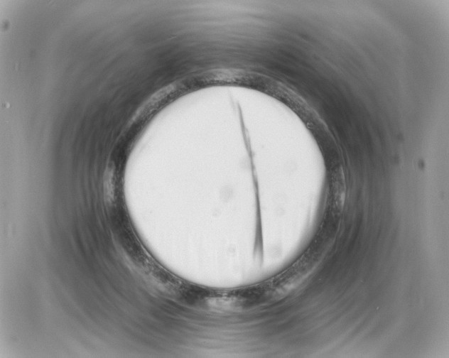 X0000085210216200704091914