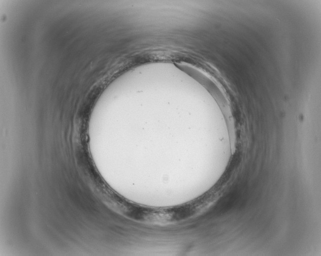 X0000085210217200704091914