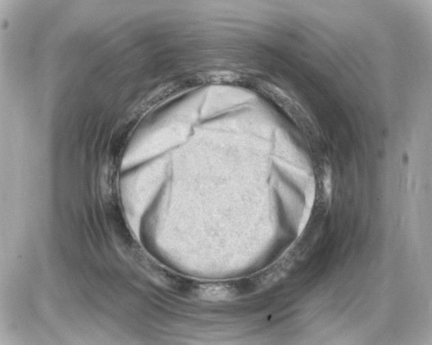 X0000085210218200704091914