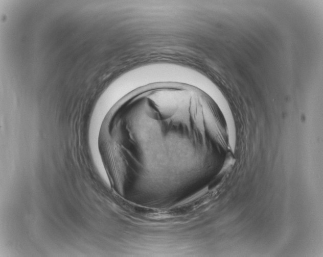 X0000085210219200704091914