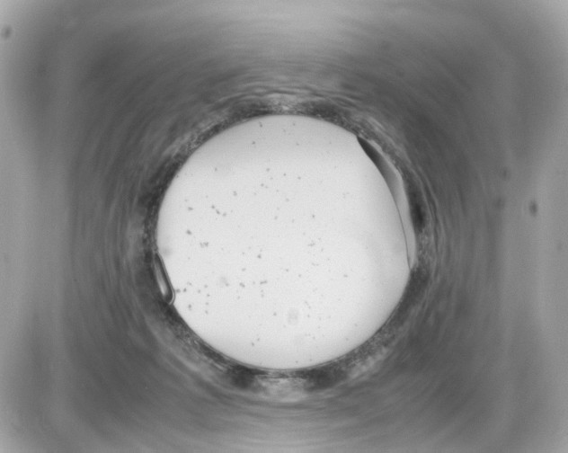 X0000085210221200704091914