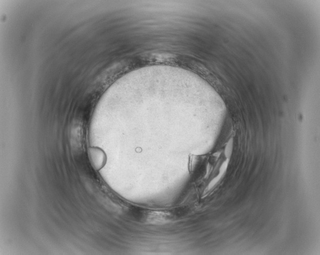 X0000085210222200704091914