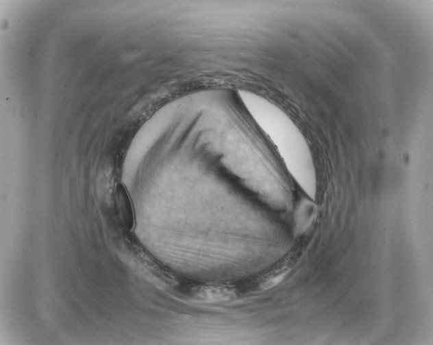 X0000085210223200704091914