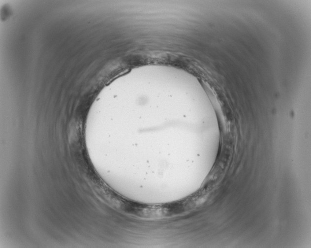 X0000085210225200704091914