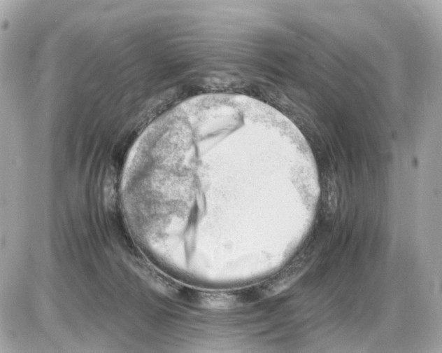 X0000085210226200704091914