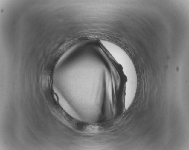 X0000085210227200704091914