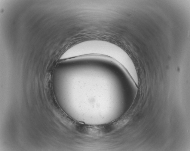 X0000085210229200704091914