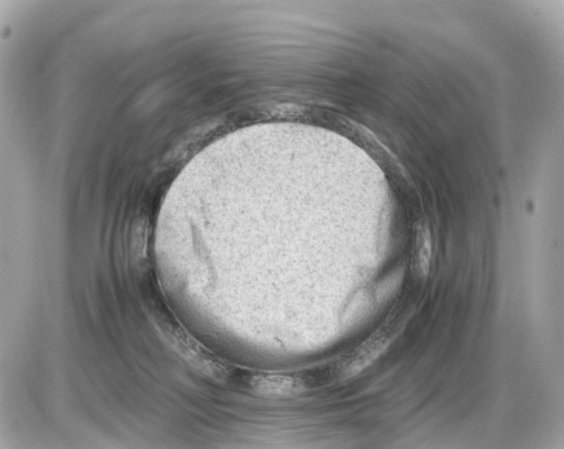 X0000085210230200704091914