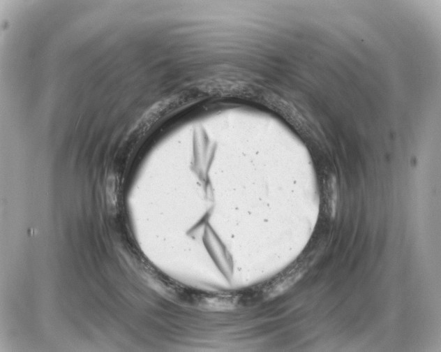 X0000085210232200704091914