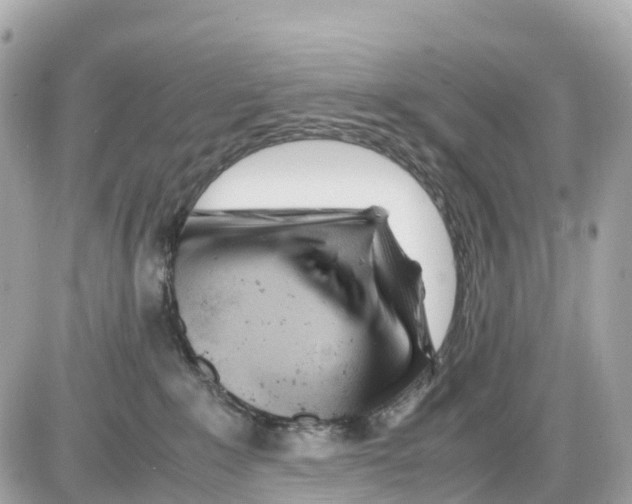 X0000085210235200704091914