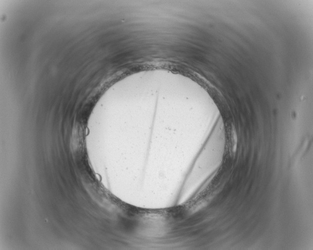 X0000085210236200704091914