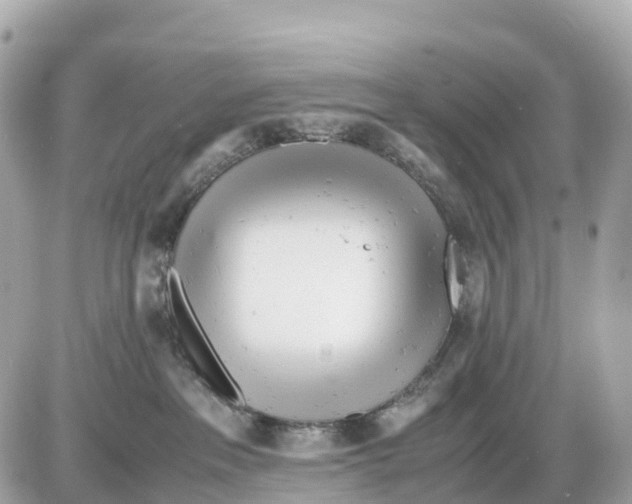 X0000085210237200704091914