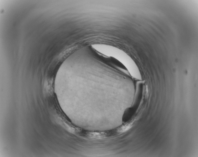 X0000085210239200704091914