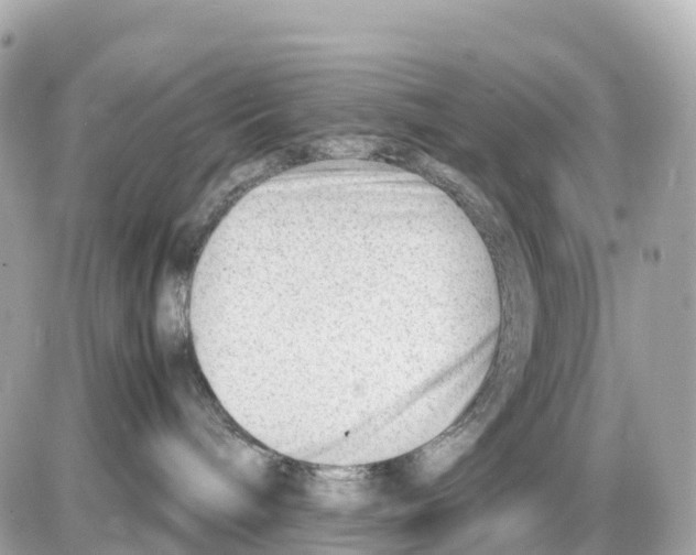 X0000085210240200704091914