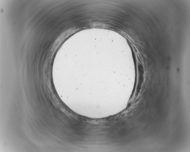 X0000085210241200704091913