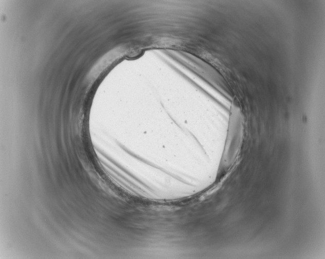 X0000085210242200704091913