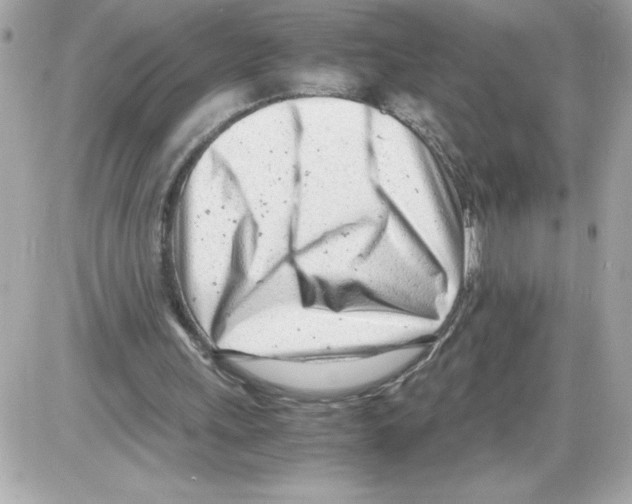 X0000085210243200704091913