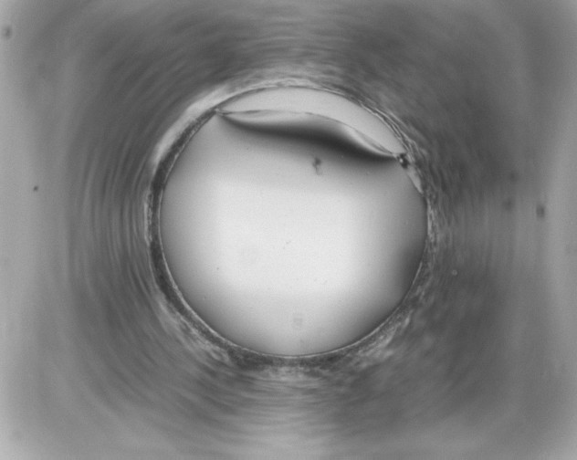 X0000085210244200704091913