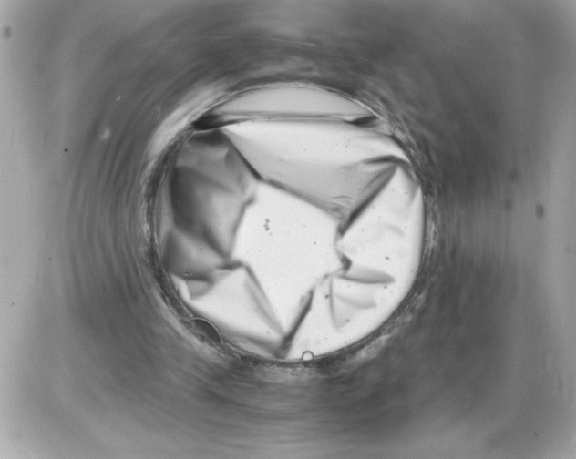 X0000085210245200704091913