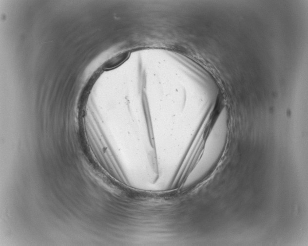 X0000085210246200704091913