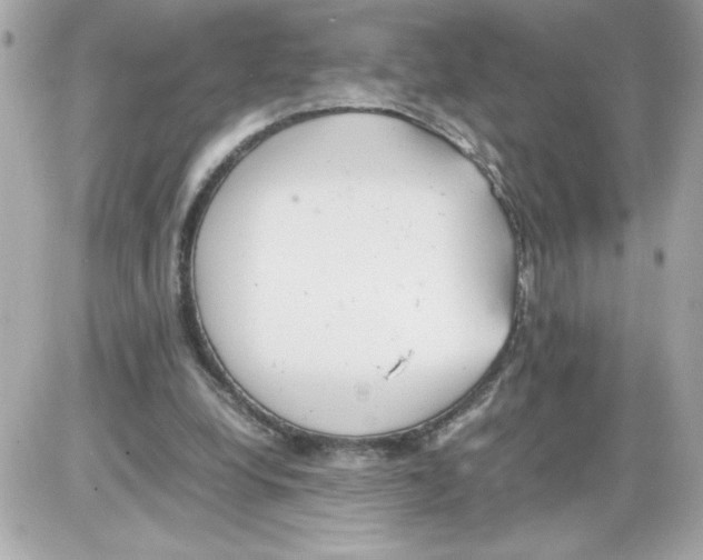 X0000085210248200704091913