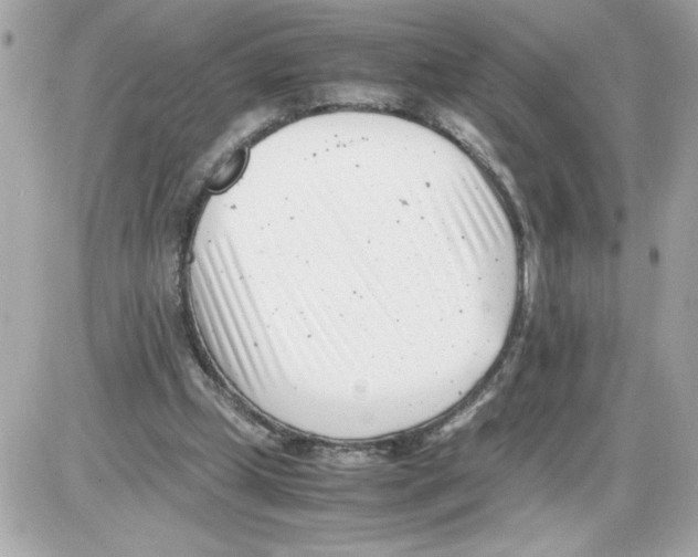 X0000085210249200704091913