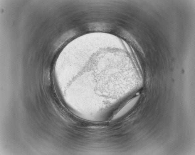 X0000085210251200704091913