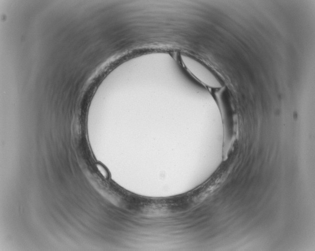 X0000085210252200704091913