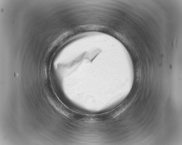 X0000085210254200704091913