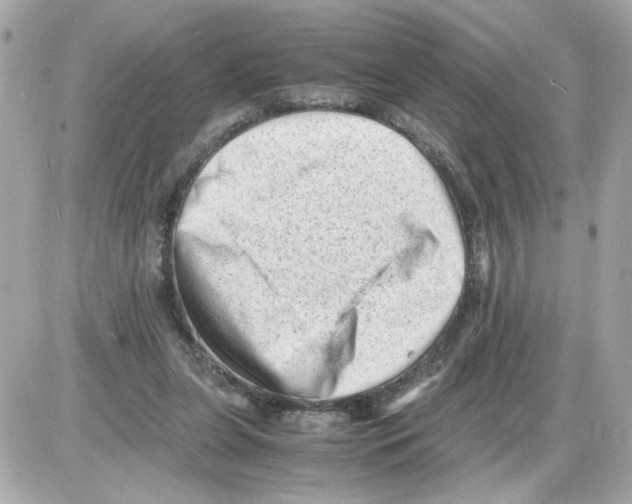 X0000085210255200704091914