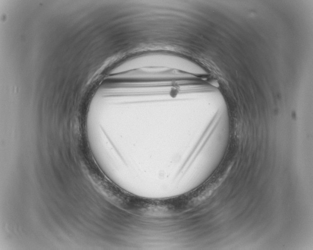 X0000085210256200704091914