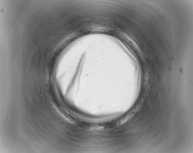 X0000085210257200704091914