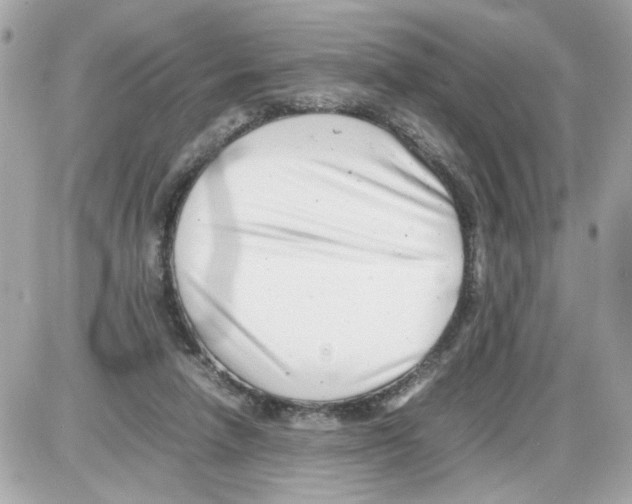 X0000085210258200704091914