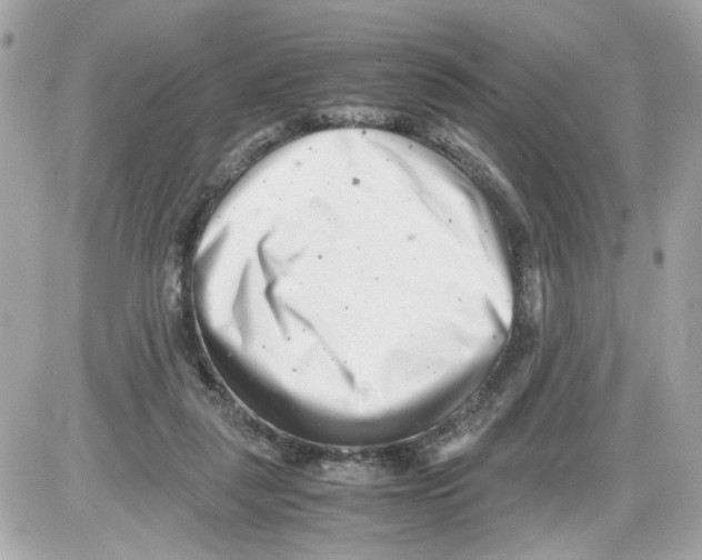 X0000085210259200704091914