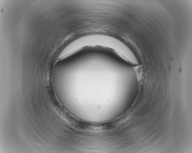 X0000085210260200704091914