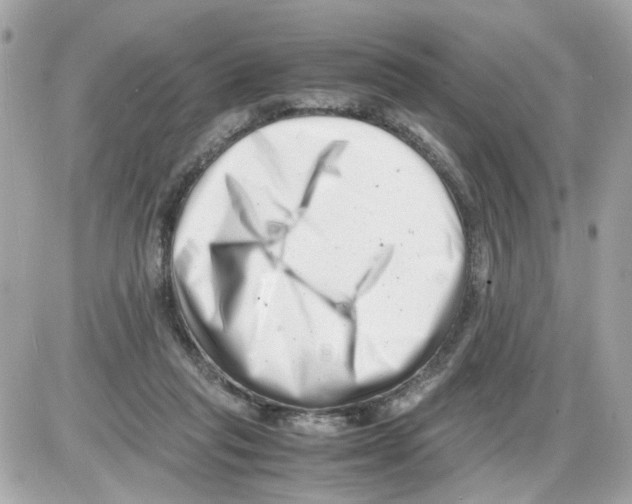 X0000085210261200704091914